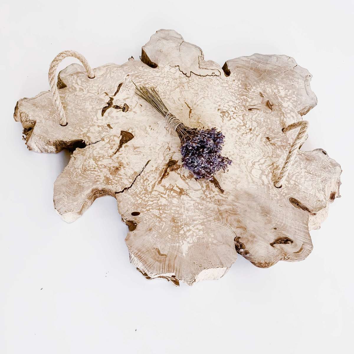 VERCHERE LAMURE Marjorie